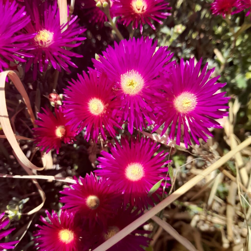 photographie de stock